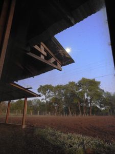 early morning moon