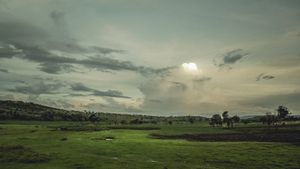 tazara.086