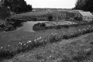 Farmland, Groene Hart, The Netherlands