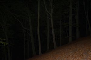 Mag wood.
