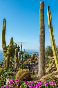 Eze Village - the exotic garden