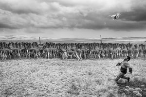 Following the drone