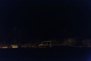 Along the night