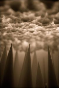 Foreboding © Amber Hall