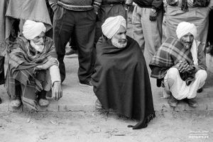Men at oxen races | Punjab.