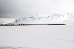 "Spitzbergen"
