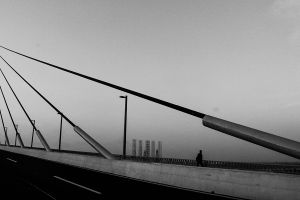 Puente Cd. Madero
