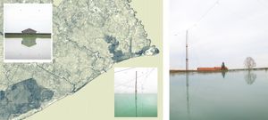 Ecosystem_preliminary study