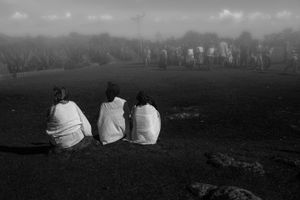 The Survivors