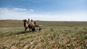Nomad Herders