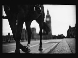 Untitled (Horse Westminster Bridge ), 2012