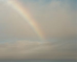 Fading Rainbow, Rippon Tor