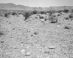 Blue Diamond Road, Las Vegas, NV, 2018