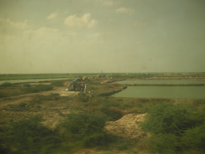 ORISSA ELLEGY 016