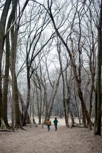 boys in trees