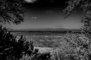 Shell Mound