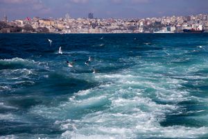 Transition(3)