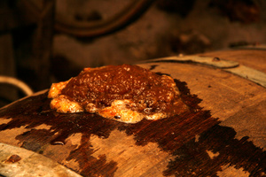 Impurities escape from an open hole in a barrel as apple juice slowly turns into cider