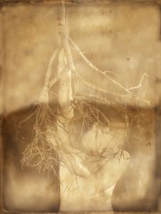 Persephone