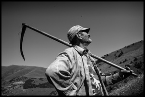 Hovik does traditional haymaking. Many people continue to use the scythe and pitchfork to cut and sort the hay.