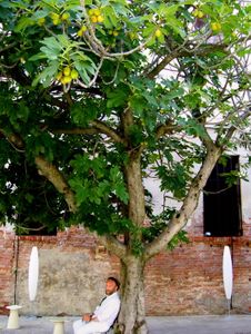 Venice 2006