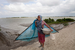 A woman catches small fishes with net at Shyamnagar in Satkhira distict, Bangladesh. Thousands of men and women go into the Sundarbans forest in Southern Bangladesh every day to gather honey, collect firewood, or catch fish, crabs and putting themselves at great risk for a tiger attack.