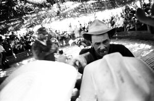 The Cockfighters of Viñales