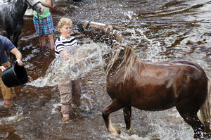 Appleby Fair 8