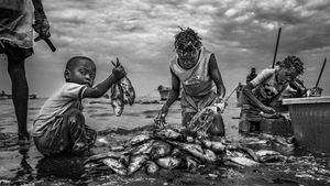 The wash of the fish I