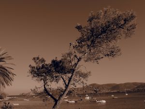 Porto Rafti_4