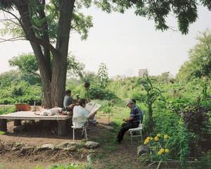 Kissena Corridor Community Garden, Flushing, Queens