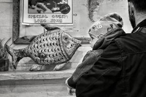 Big fish is watching you