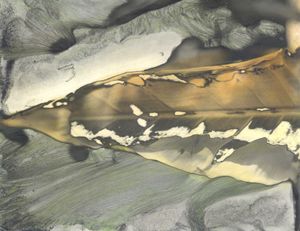 Untitled 1