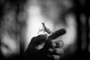 Aliens Among Us