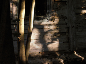 TRACES-TCHERNOBYL