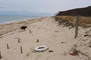 Nantucket, 2013