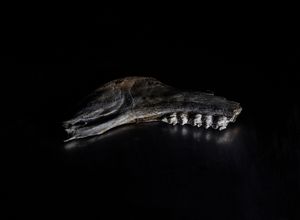 found things -3