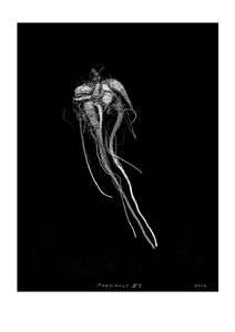 © Jeff Moorfoot