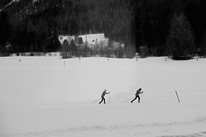 Radiography of a journey. Bernina Express from Tirano to St. Moritz