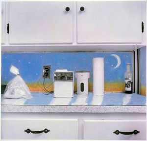 from Countertop Landscapes and Skylines©Sleeping Series, silver print, © Joanne Leonard