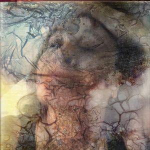Damaged #25