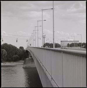 Cologne