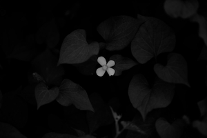 Pray04