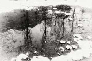 Frozen waterworld