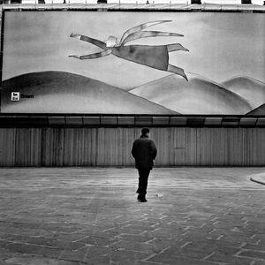 © Marcello Bertesi