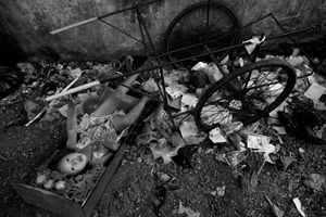 From the series "Railway Community"
