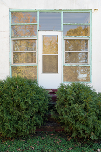 Overgrowth