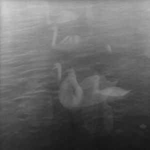Sentimental Journey VIII