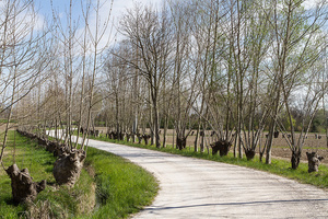 Gruaro Caresà