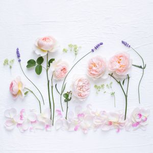 A summer dance
